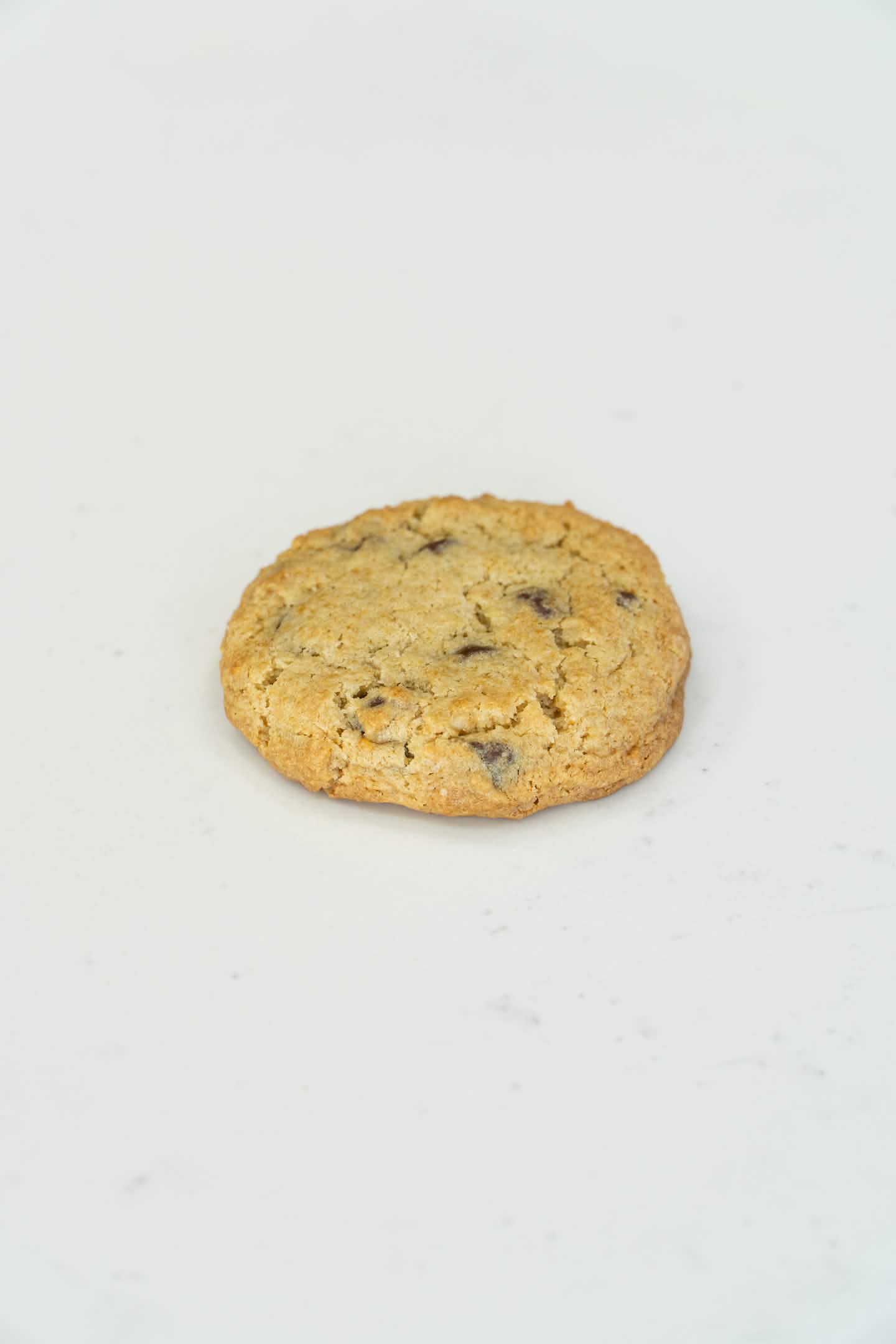 Chocolate chip cookie